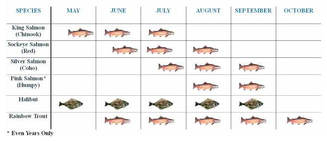 Alaska Fishing Species